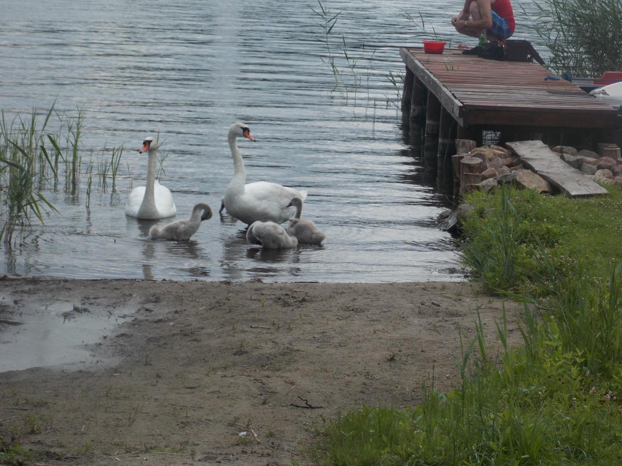Mazury Home Giżycko Kültér fotó