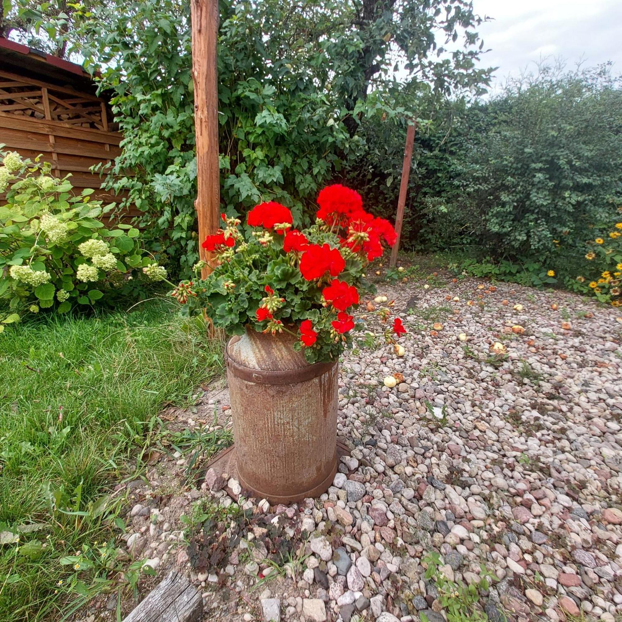 Mazury Home Giżycko Kültér fotó
